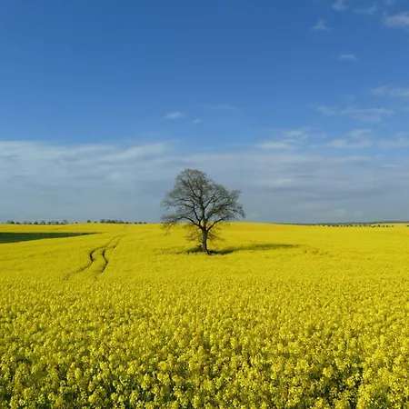 Sonnenwiese Grosszuegiges Haus Mit Sauna Und Kamin Nahe Ostsee * Kalkhorst
